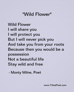 Wild Flower. I will share you. I will protect you. But I will never pick you, and take you from your roots. Because then you would be a possession, not a beautiful life. Stay wild and free.